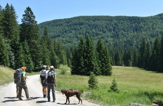 autor fotografija: Selanec, Ćurković