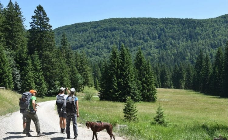 autor fotografija: Selanec, Ćurković